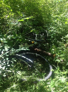 bike in the bushes!